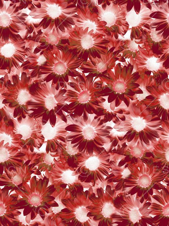 服装印花华亿平台图片