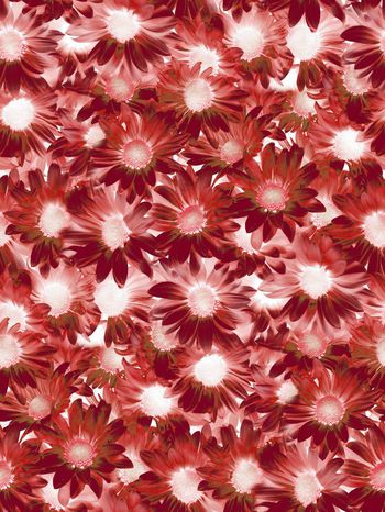 569408-时尚潮流 暗影花卉 服装 家纺 花