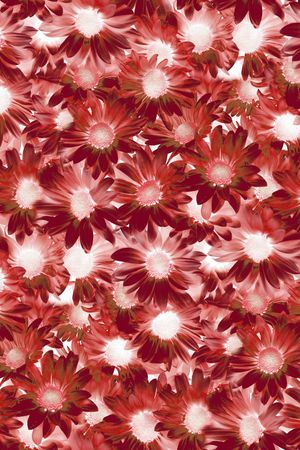 服装印花华亿平台图片