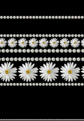 569519-优雅浪漫小雏菊花卉 黑底大牌定位印