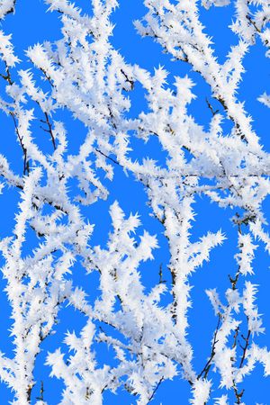 MAX-抽象自然风景抽象时尚蓝底冰凌印花华亿平台图片