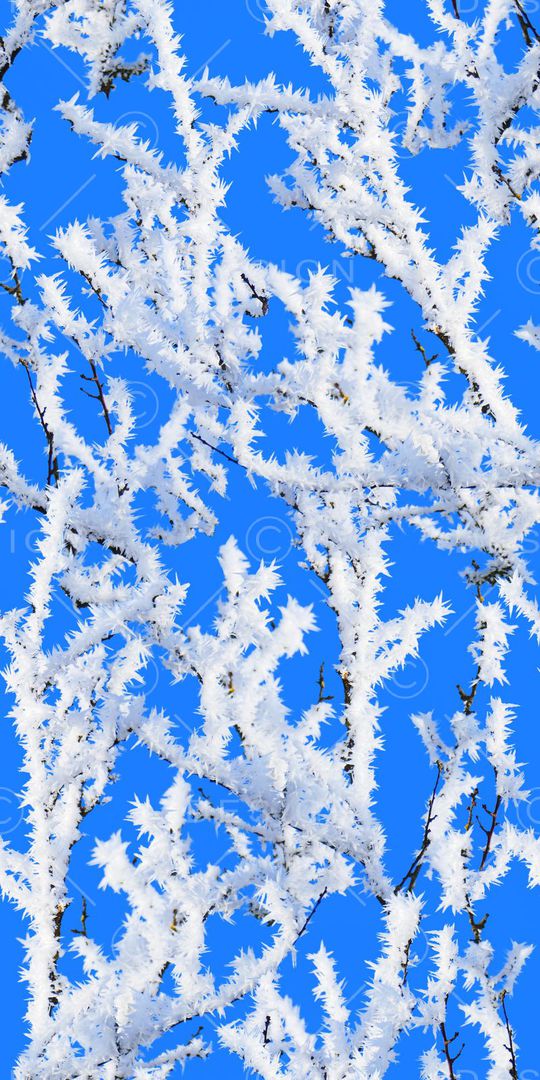 MAX-抽象自然风景抽象时尚蓝底冰凌印花华亿平台图片