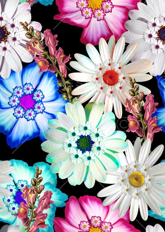 雏菊花穗印花华亿平台图片