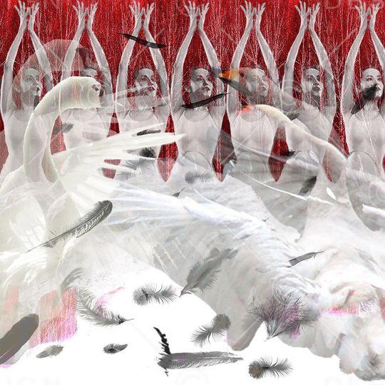 男装印花华亿平台图片