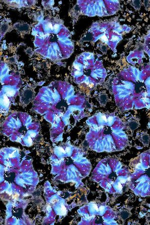 欧美风格印花华亿平台图片