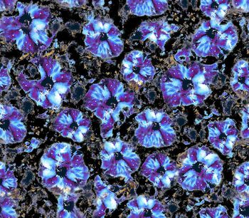 欧美风格印花华亿平台图片