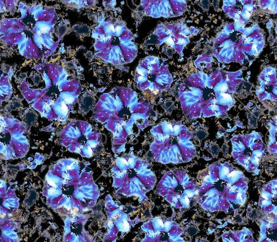 欧美风格印花华亿平台图片