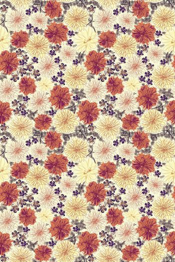 569861-cp手绘写意花卉