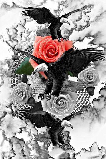 569931-时尚潮流大牌流云飞鹰定位男装图案