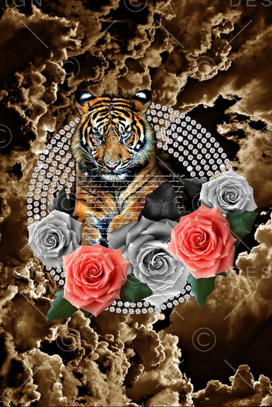 大牌印花华亿平台图片