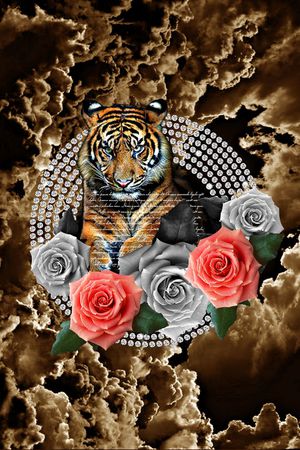 大牌印花华亿平台图片