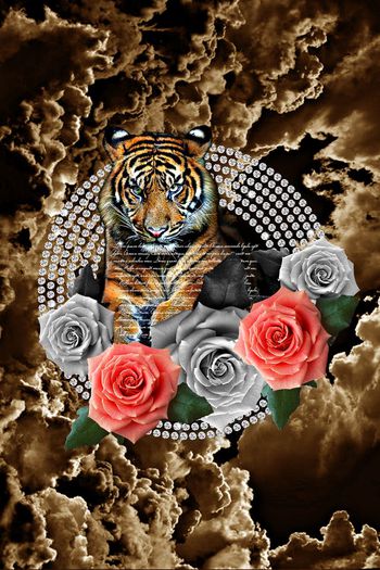 569938-时尚潮流大牌流云老虎定位男装图案