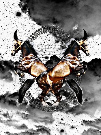 569976-时尚潮流大牌流云与独角马定位男装图