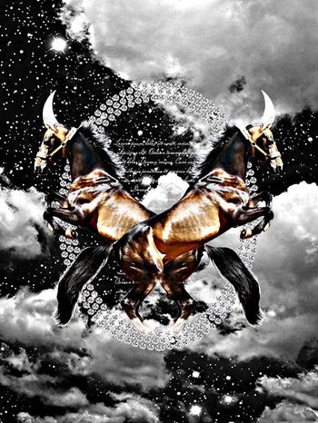 569977-时尚潮流大牌流云与独角马定位男装图