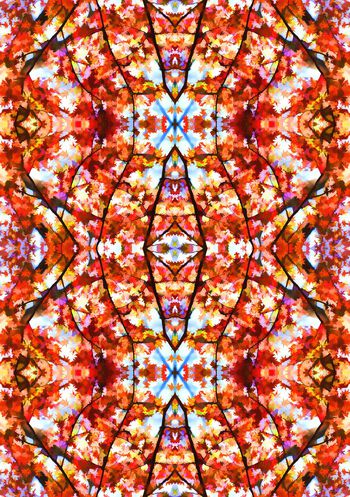 570088-时尚潮流茂盛枫叶花卉