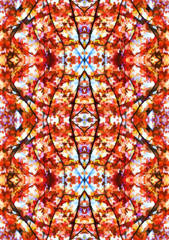 乱花印花华亿平台图片