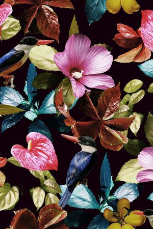 热带花卉印花华亿平台图片