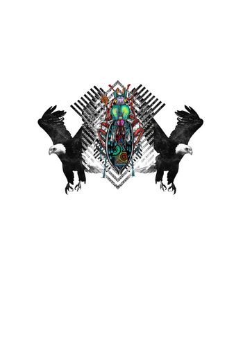 570377-昆虫老鹰几何图形五彩甲壳虫