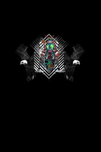 570378-昆虫老鹰几何图形五彩甲壳虫