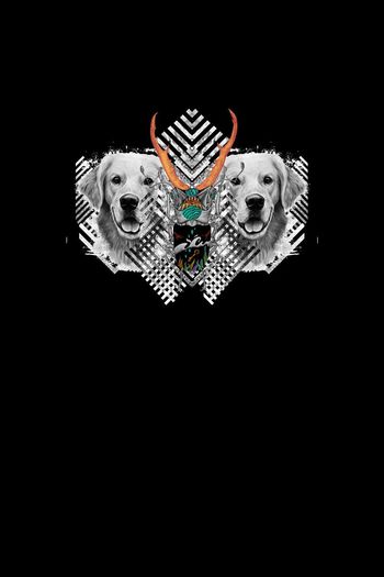 570408-昆虫狗宠物狗几何图形2五彩甲壳虫