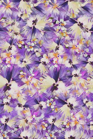 女装印花华亿平台图片