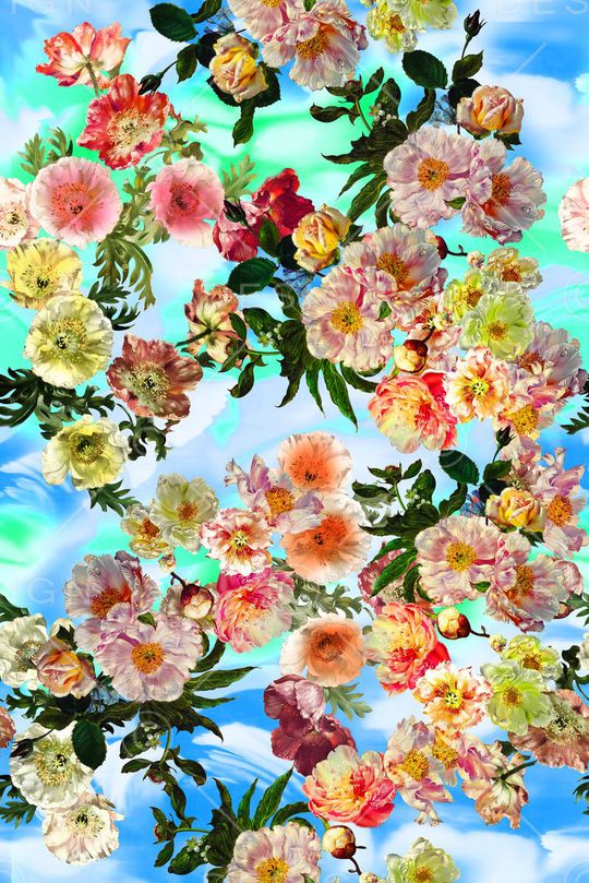 玫瑰印花华亿平台图片