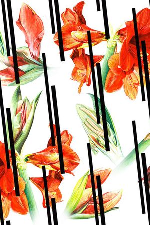 Dolce& gabanna印花华亿平台图片