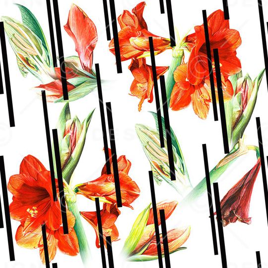 Dolce& gabanna印花华亿平台图片