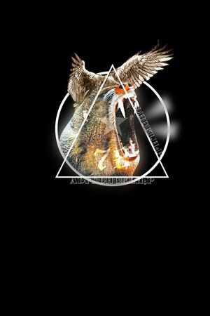 Cavalli印花华亿平台图片