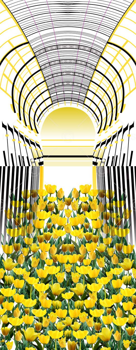 欧美印花华亿平台图片