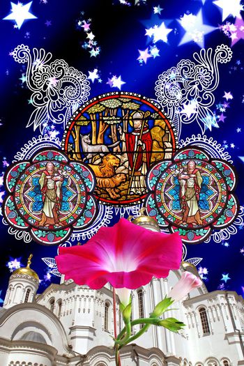 570710- 欧美民族风手绘幻夜星空复古宫廷壁