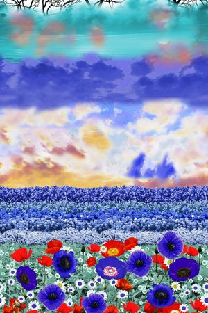 欧美印花华亿平台图片