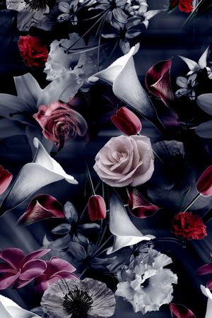 黑白印花华亿平台图片