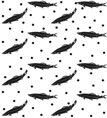 570963-KEW- 黑白波普鲤鱼