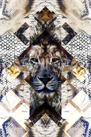 时尚大牌欧美风格印花华亿平台图片