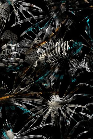 抽象印花华亿平台图片