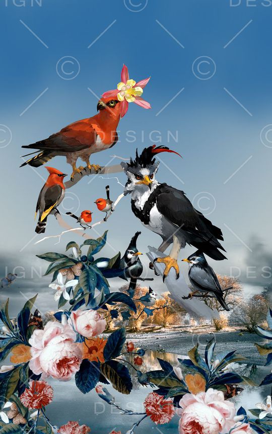 时尚印花华亿平台图片