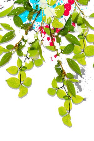 植物定位印花华亿平台图片