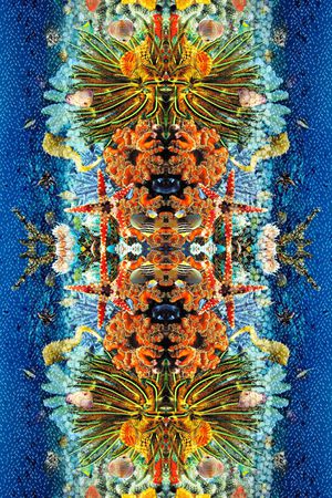 豹纹印花华亿平台图片