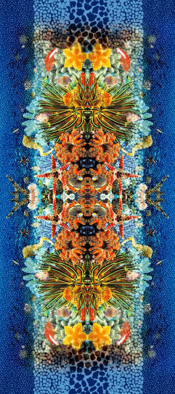 571358-豹纹 海底世界 丝巾华亿平台