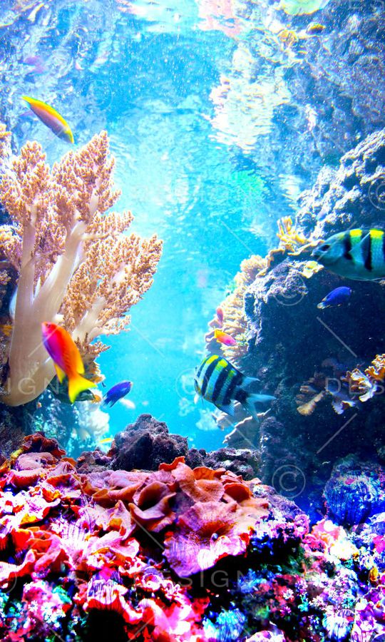 潮流时尚印花华亿平台图片