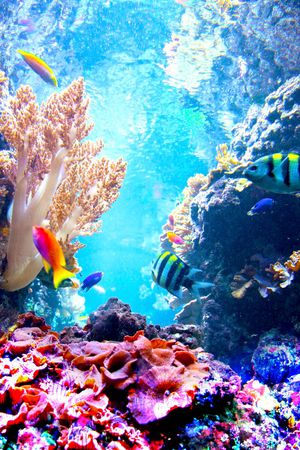 潮流时尚印花华亿平台图片