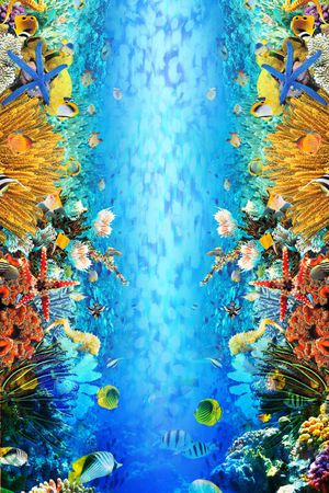 豹纹印花华亿平台图片