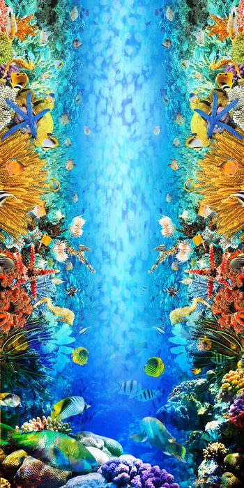 571362-海底世界 珊瑚 鱼 豹纹蓝色渐变