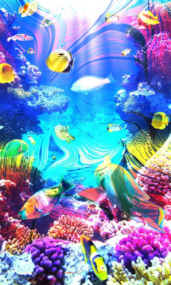 571368-绚丽彩色海底世界 鱼 珊瑚 海贝