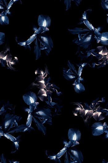 571398-欧美流行时尚金属材质花卉