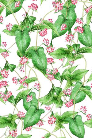 荷叶印花华亿平台图片