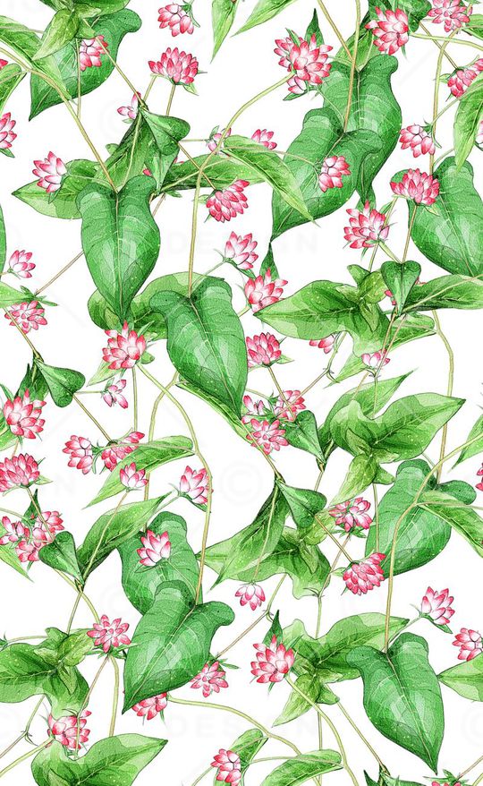 荷叶印花华亿平台图片