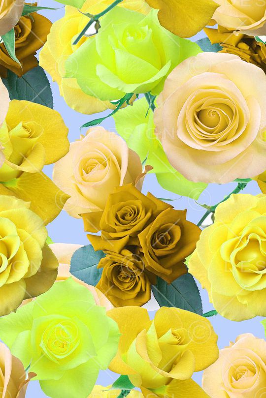 时尚印花华亿平台图片