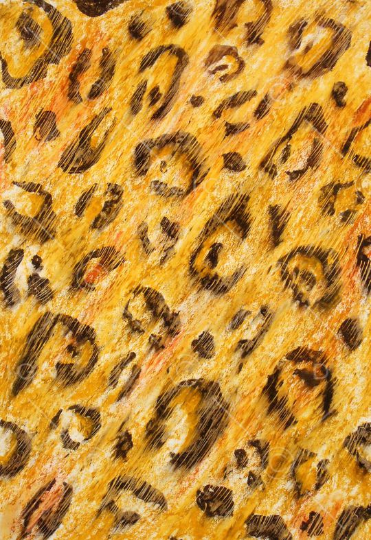 Animal印花华亿平台图片